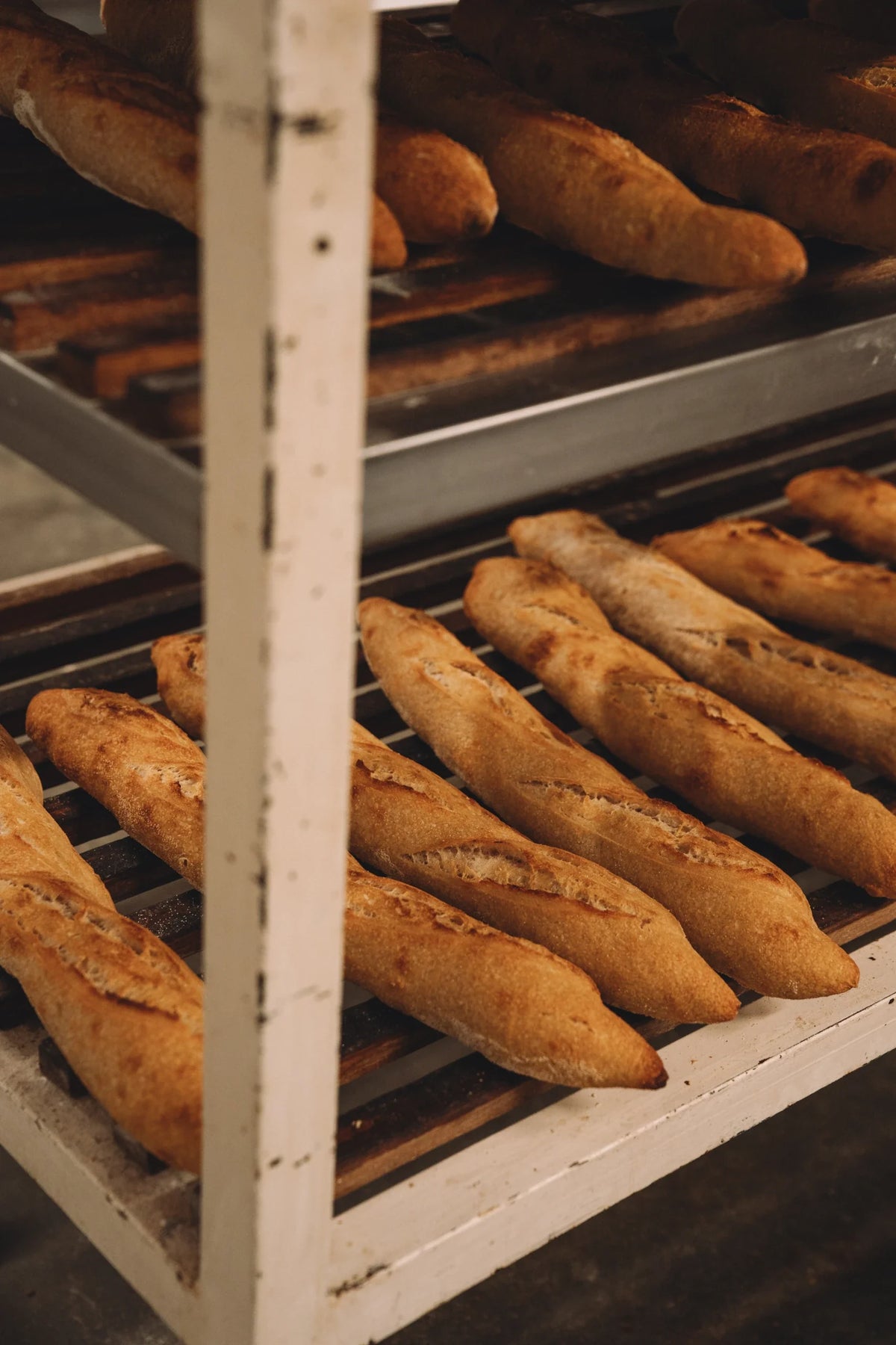 Stokbrood