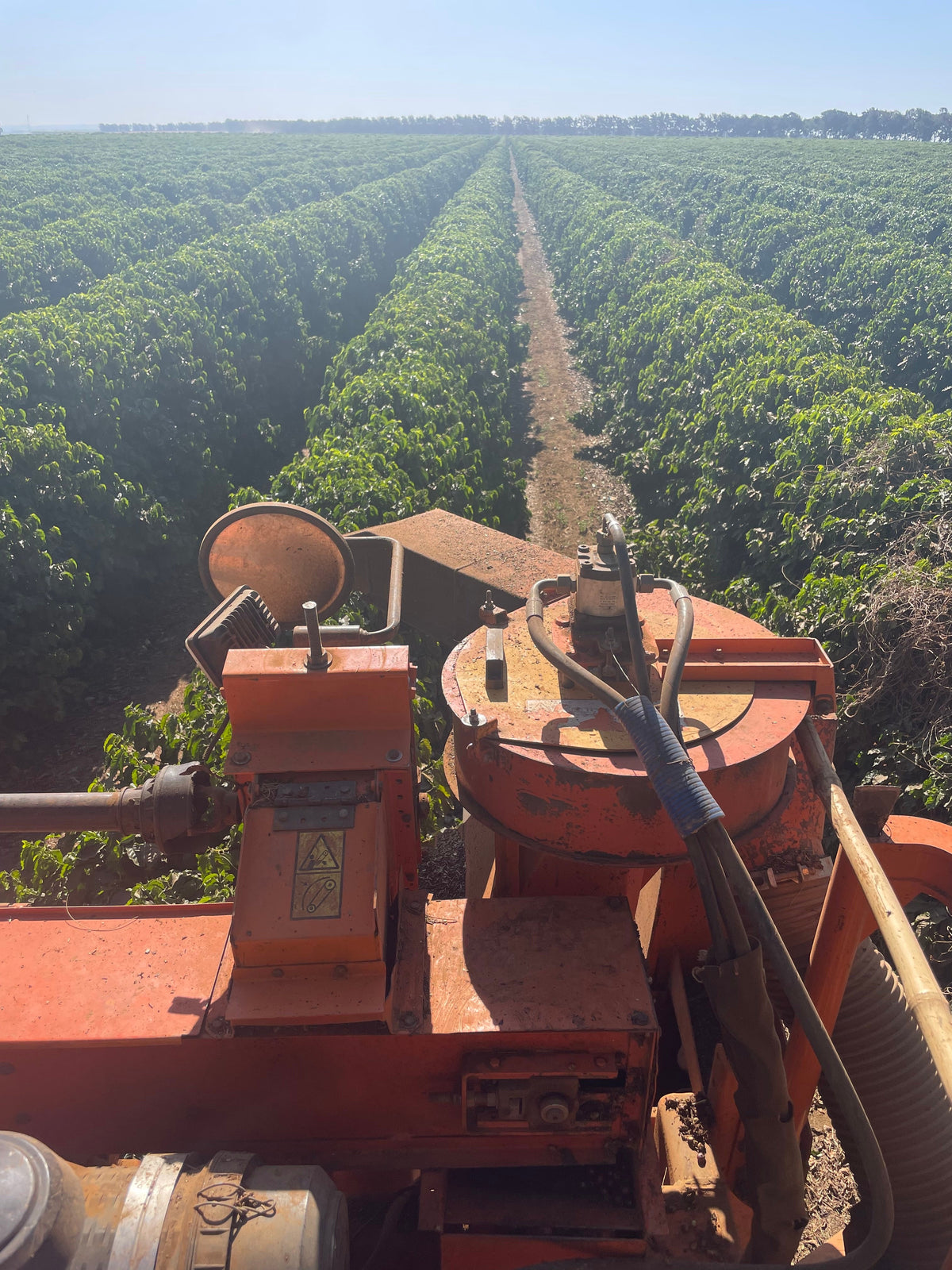 Kaf Blend Natural Brazil