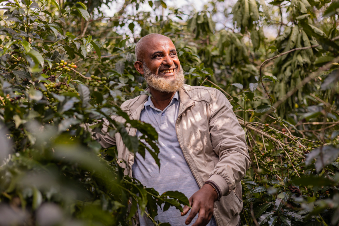 DeKaf Mensur Abahika EA Washed Ethiopia